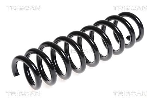 Spiralfjäder bak från TRISCAN