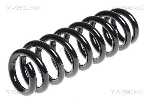 Spiralfjäder bak från TRISCAN