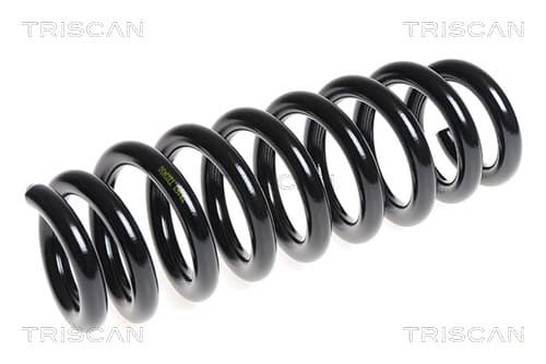 Spiralfjäder bak från TRISCAN