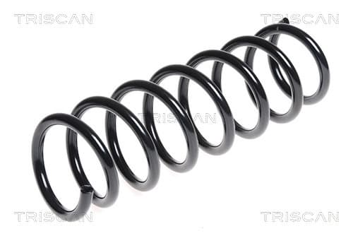 Spiralfjäder bak från TRISCAN