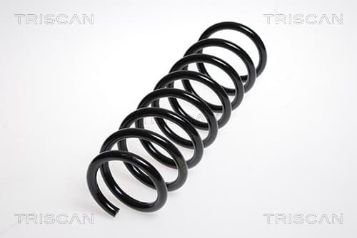 Spiralfjäder bak från TRISCAN