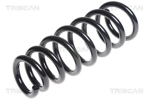 Spiralfjäder fram från TRISCAN
