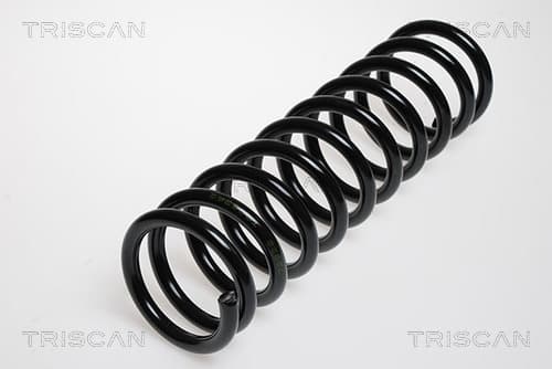 Spiralfjäder bak från TRISCAN