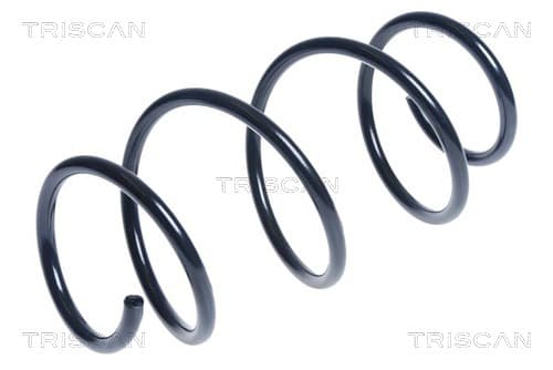 Spiralfjäder fram från TRISCAN