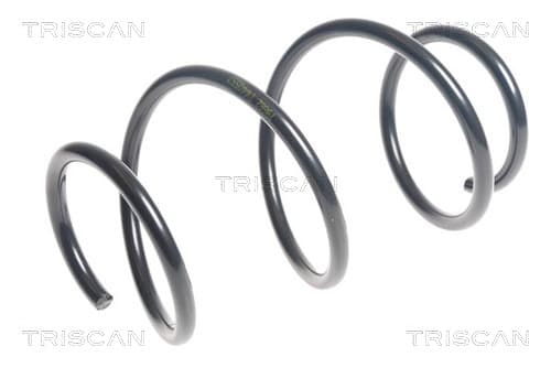 Spiralfjäder fram från TRISCAN