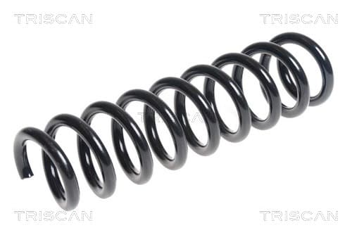 Spiralfjäder bak från TRISCAN