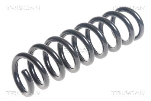 Spiralfjäder bak från TRISCAN