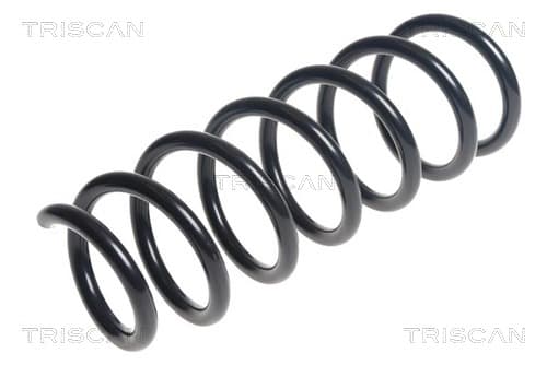 Spiralfjäder fram från TRISCAN