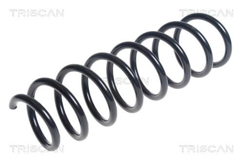 Spiralfjäder bak från TRISCAN