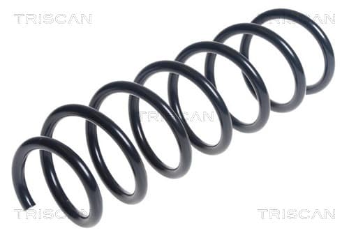 Spiralfjäder bak från TRISCAN
