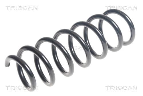 Spiralfjäder fram från TRISCAN