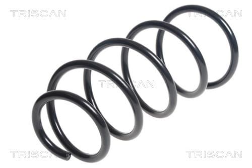 Spiralfjäder fram från TRISCAN