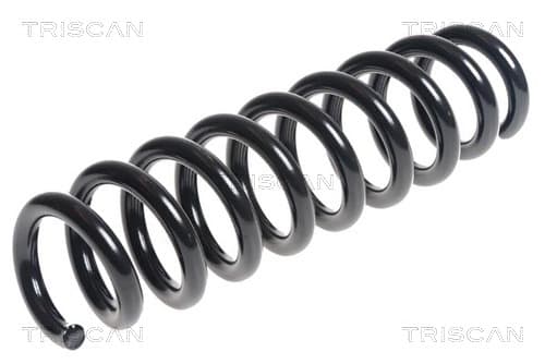 Spiralfjäder bak från TRISCAN