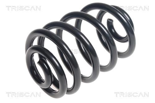 Spiralfjäder bak från TRISCAN