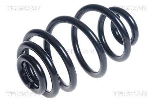 Spiralfjäder bak från TRISCAN