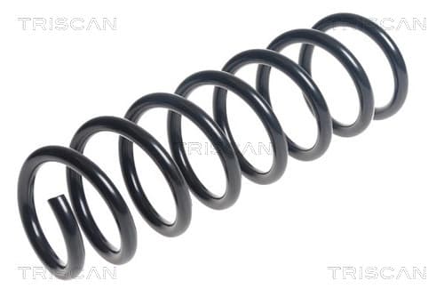 Spiralfjäder fram från TRISCAN