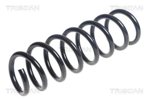 Spiralfjäder fram från TRISCAN