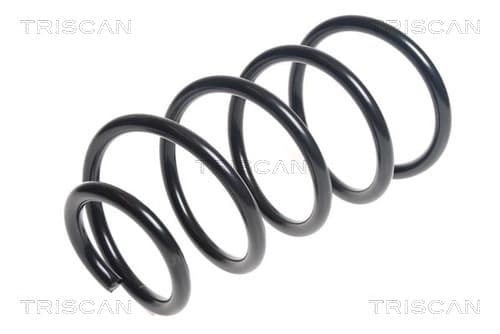 Spiralfjäder fram från TRISCAN