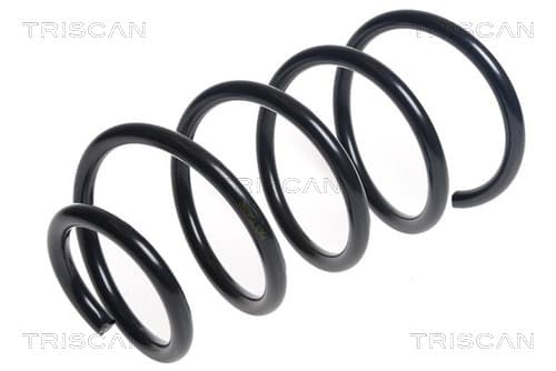 Spiralfjäder fram från TRISCAN