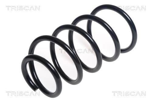 Spiralfjäder fram från TRISCAN