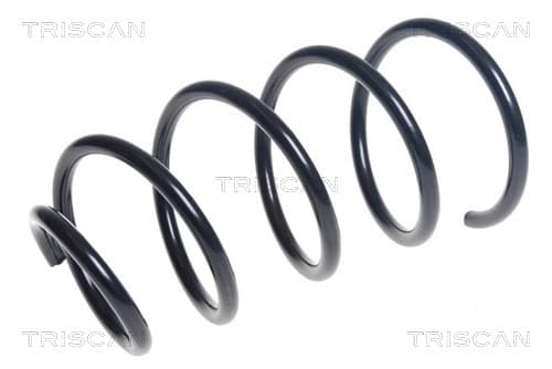 Spiralfjäder fram från TRISCAN