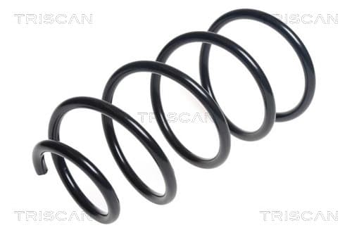 Spiralfjäder fram från TRISCAN