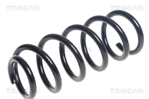 Spiralfjäder fram från TRISCAN