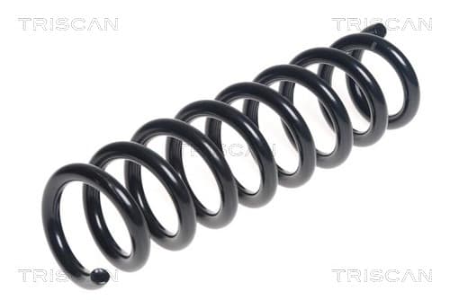 Spiralfjäder bak från TRISCAN