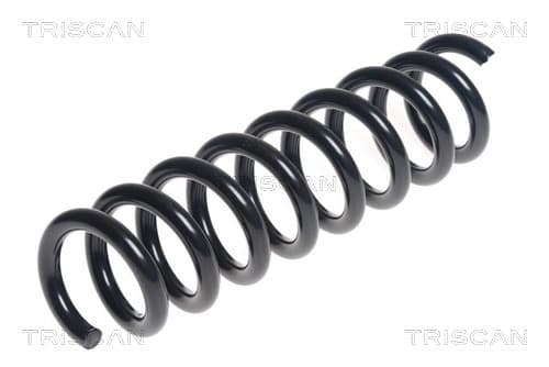 Spiralfjäder bak från TRISCAN