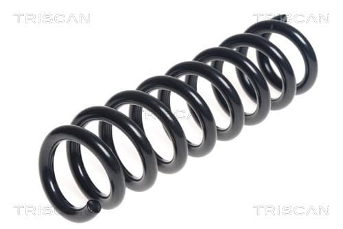 Spiralfjäder bak från TRISCAN