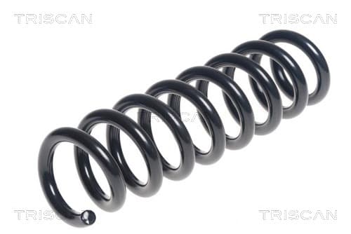 Spiralfjäder bak från TRISCAN