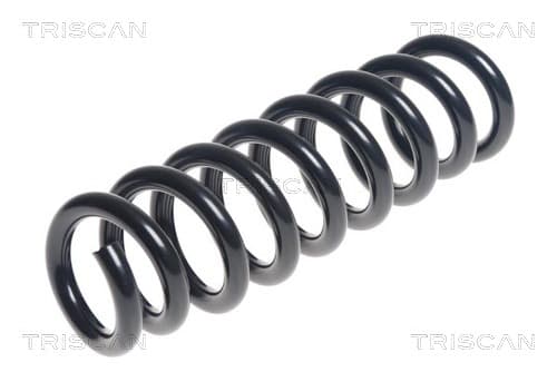 Spiralfjäder bak från TRISCAN