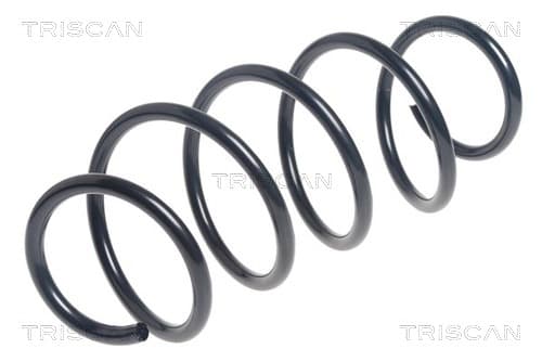 Spiralfjäder fram från TRISCAN