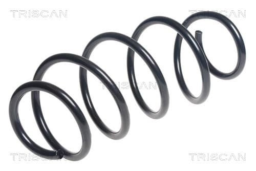 Spiralfjäder fram från TRISCAN