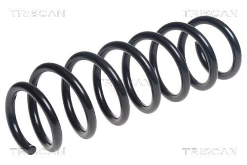Spiralfjäder bak från TRISCAN