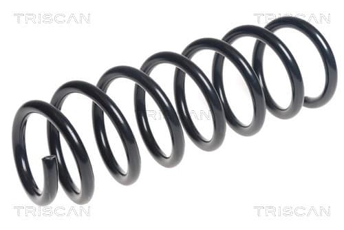 Spiralfjäder bak från TRISCAN