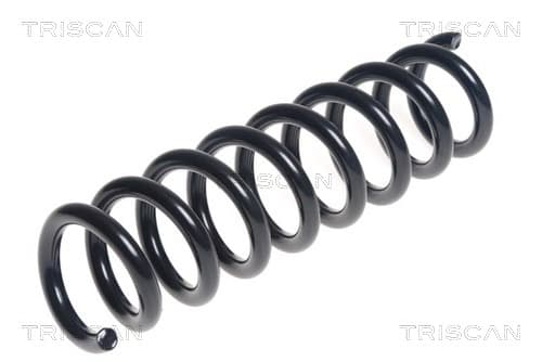 Spiralfjäder bak från TRISCAN