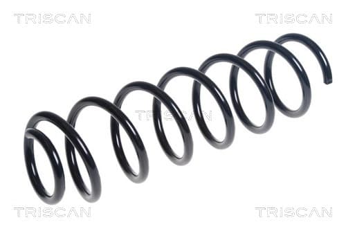 Spiralfjäder bak från TRISCAN