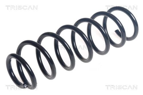 Spiralfjäder bak från TRISCAN