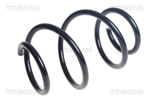 Spiralfjäder fram från TRISCAN
