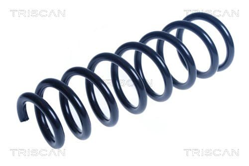 Spiralfjäder fram från TRISCAN