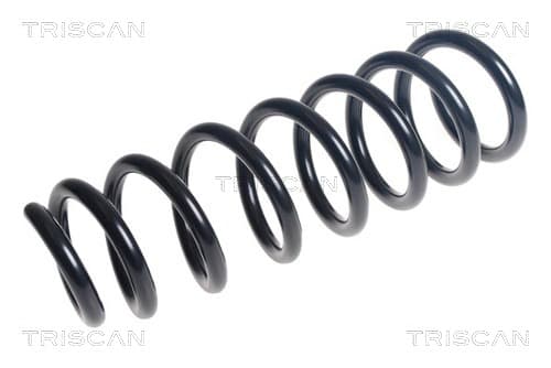 Spiralfjäder fram från TRISCAN