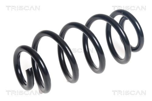Spiralfjäder bak från TRISCAN