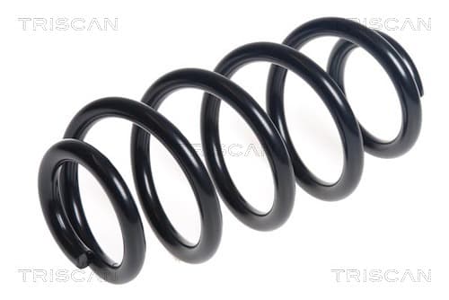 Spiralfjäder bak från TRISCAN