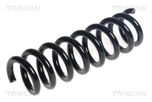 Spiralfjäder bak från TRISCAN