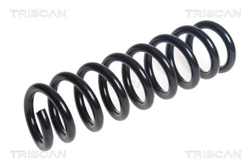 Spiralfjäder bak från TRISCAN