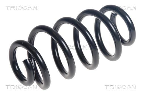 Spiralfjäder bak från TRISCAN