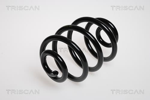 Spiralfjäder bak från TRISCAN