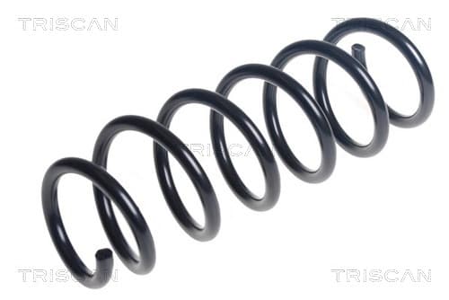 Spiralfjäder fram från TRISCAN