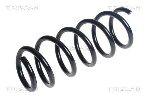 Spiralfjäder fram från TRISCAN